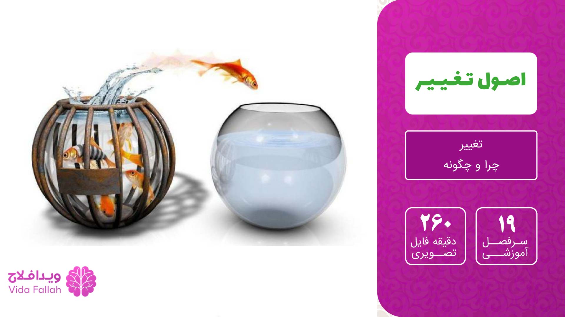دوره اصول تغییر – اصول تغییر خود